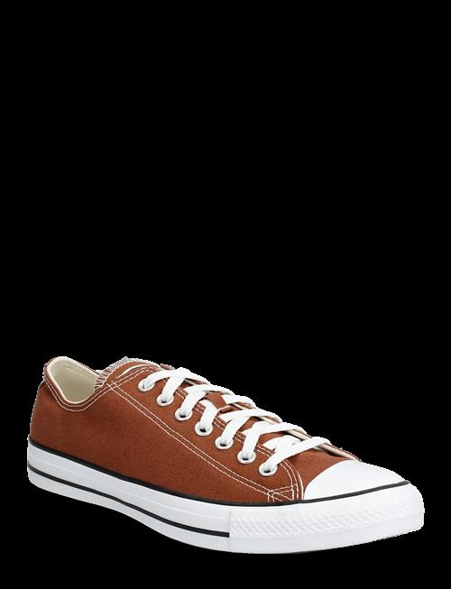 Converse | Chuck Taylor All Star | 41.5