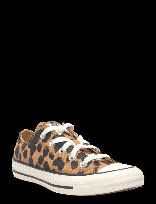 Converse | Chuck Taylor All Star | 37.5