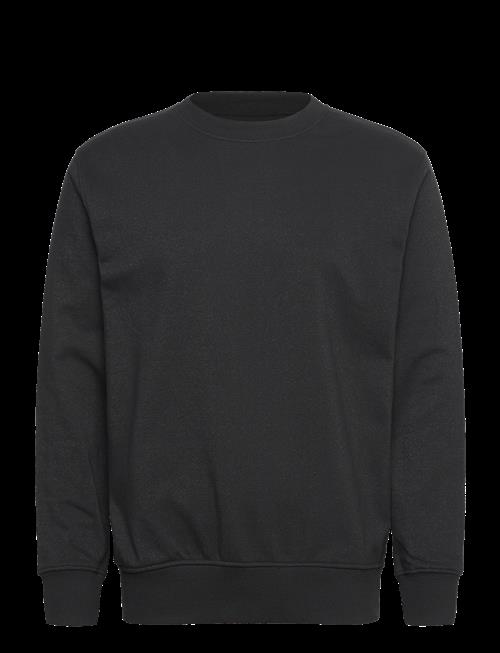 Lindbergh | Crew Neck Sweat | M