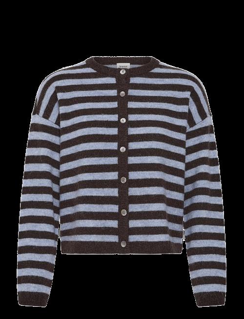 Fransa | Fridaa Car 1 | XL