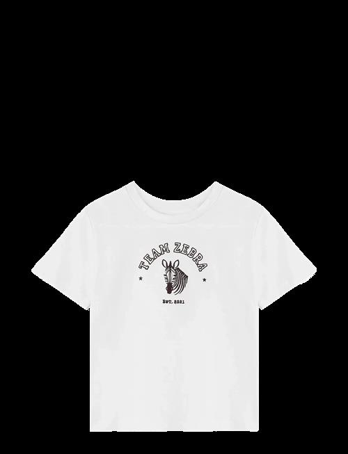 Fliink | Sommer Zebra T-Shirt | 110