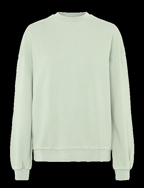 Lexington Clothing | Patricia Washed Sweatshirt | S
