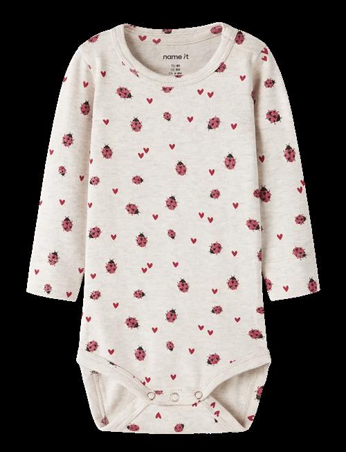 name it | Nbfhaline Ls Xsl Body | 62
