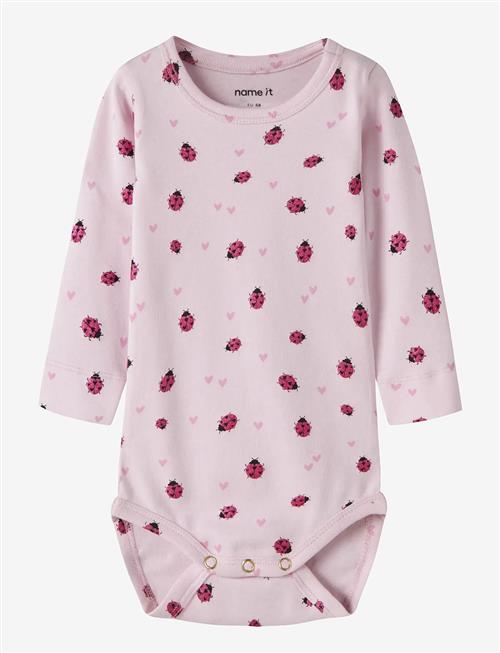 name it | Nbfhaline Ls Xsl Body | 62
