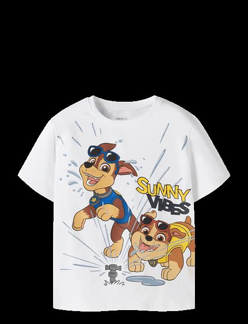 name it | Nmmmacas Paw Ss Nreg Top Cplg | 104