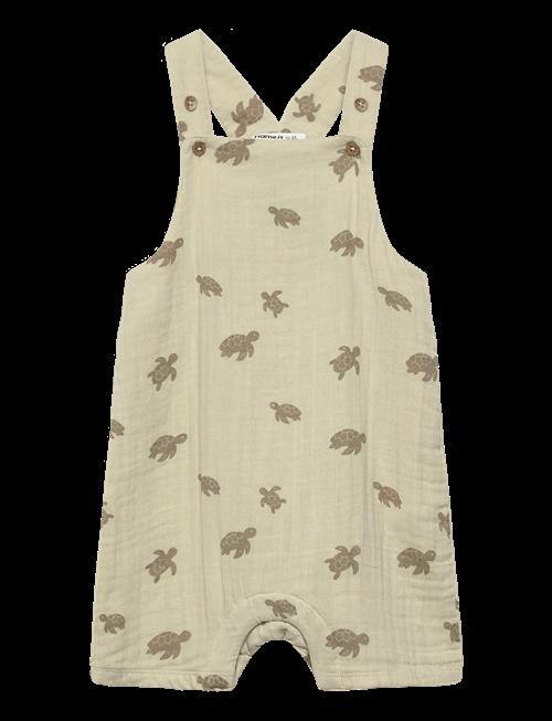 name it | Nbmjeremy Short Overall | 56