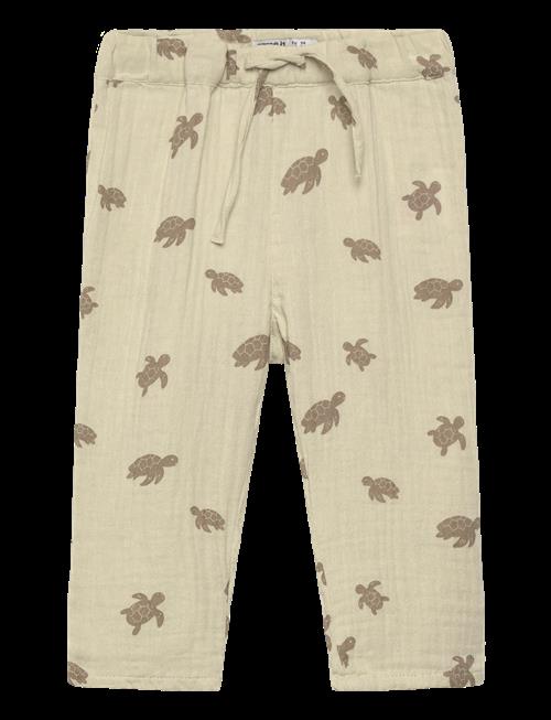 name it | Nbmjeremy Pant | 80