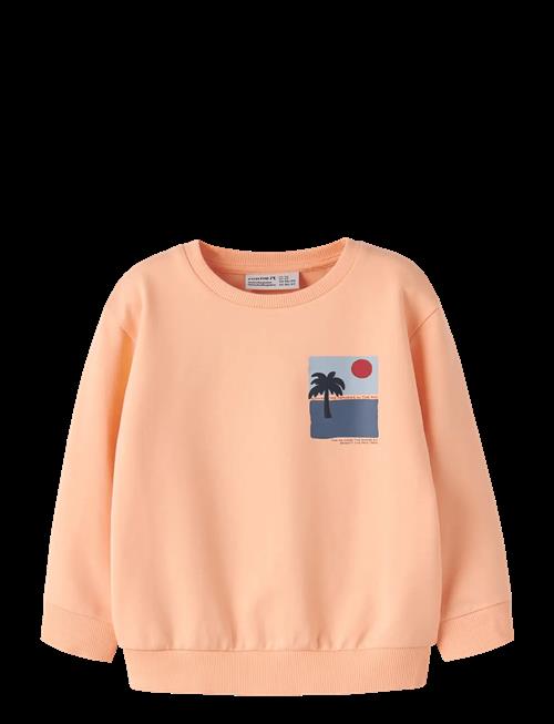 name it | Nmmjale Nreg Sweat Unb | 104