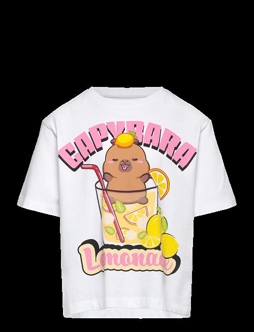 name it | Nkfabina Capybara Ss Nreg Top Lnoos Sky | 116