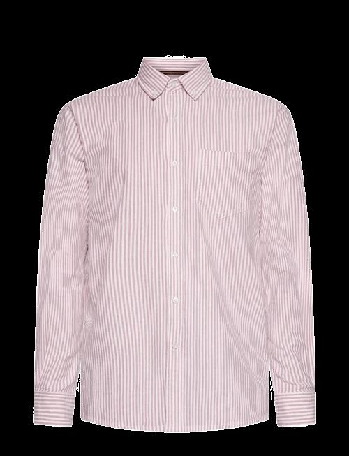 SIGNAL | Scottsi Oxford + | XXL