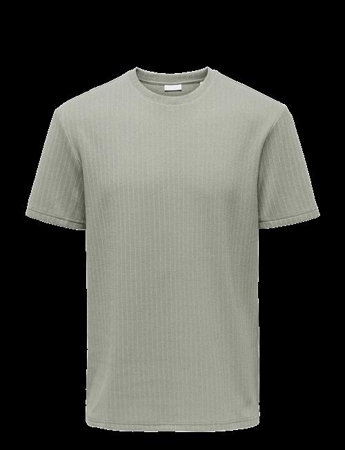 ONLY & SONS | Onstrey Life Reg Ss Frml Tee | L