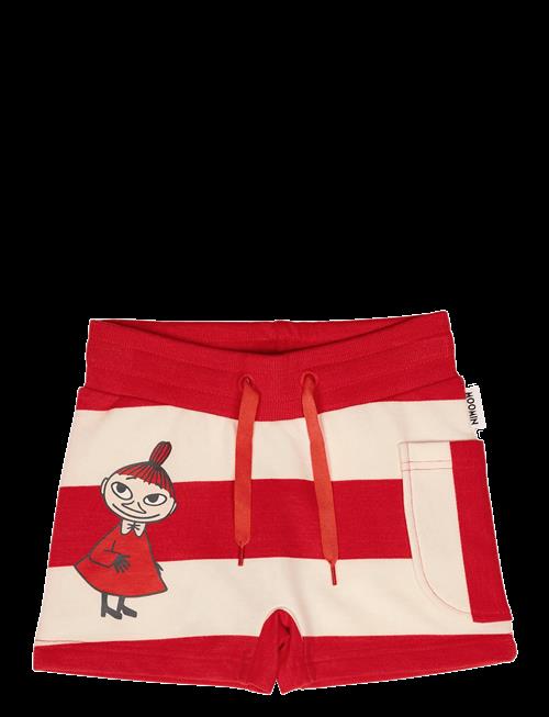 Martinex | Snäckstrand Shorts | 110