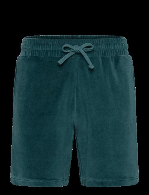 Revolution | Velour Shorts | XL