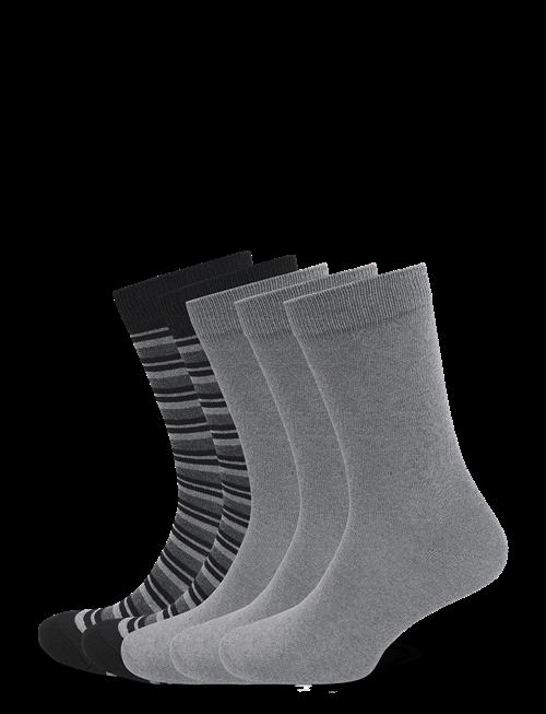 Shine Original | Mixed Color 5 Pack Socks | 40-47