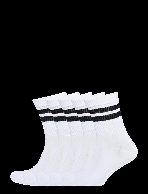 Shine Original | Tennis Sock With Stripes 5 Pack | 40-47