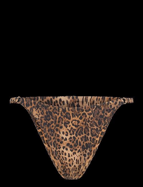 AYA Label | The Gaia Bottom | M