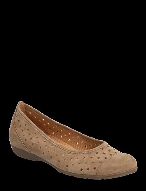 Gabor | Ballerina | 41