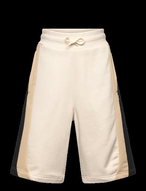 BOSS | Bermuda Shorts | 138
