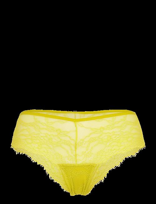 Understatement Underwear | Lace Hipster | L