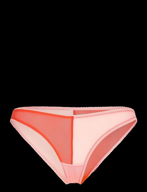 Understatement Underwear | Mesh Two-Tone Bikini Brief | XXL