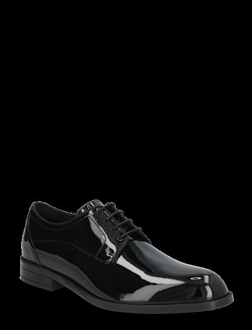 BOSS | Tayil_Derb_Pa | 42.5