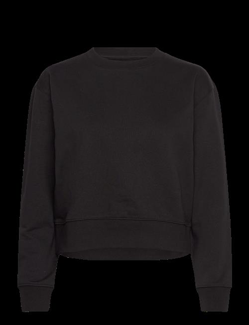 Organic Basics | Weekend Crop Crewneck | S
