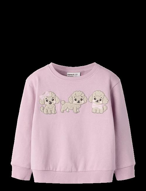 name it | Nmfdyveke Ls Nreg Swe Bru | 98