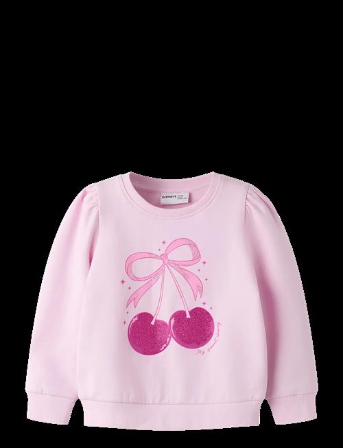 name it | Nmffinna Ls Swe Bru | 98