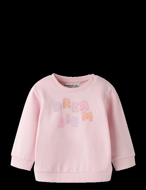 name it | Nbfdelia Ls Swe Bru | 56