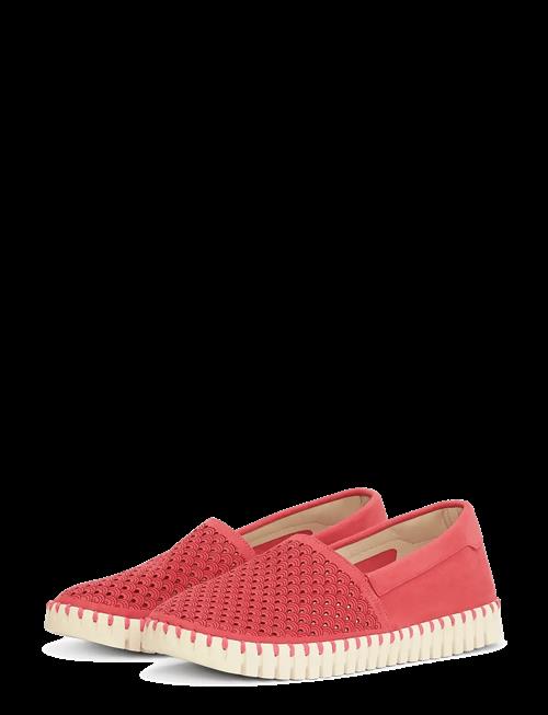 Ilse Jacobsen | Tulip3483 | 41