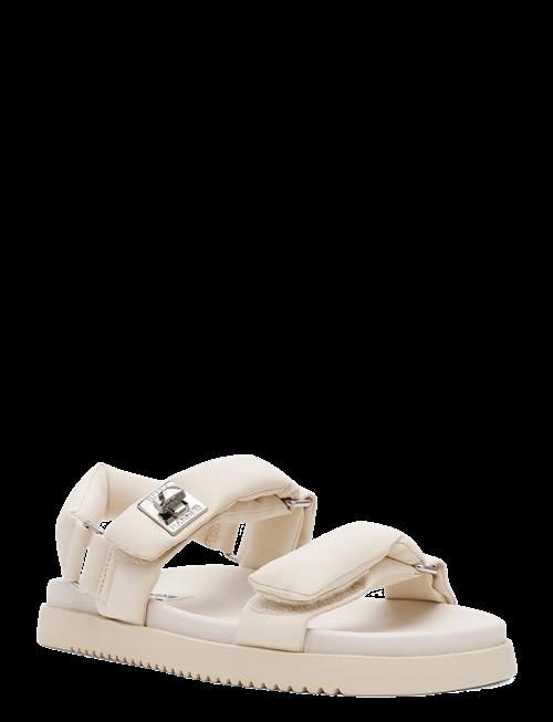 Steve Madden | Monat | 39