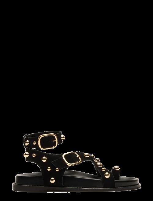 Steve Madden | Linear | 37