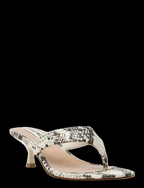 Steve Madden | Soundview | 36
