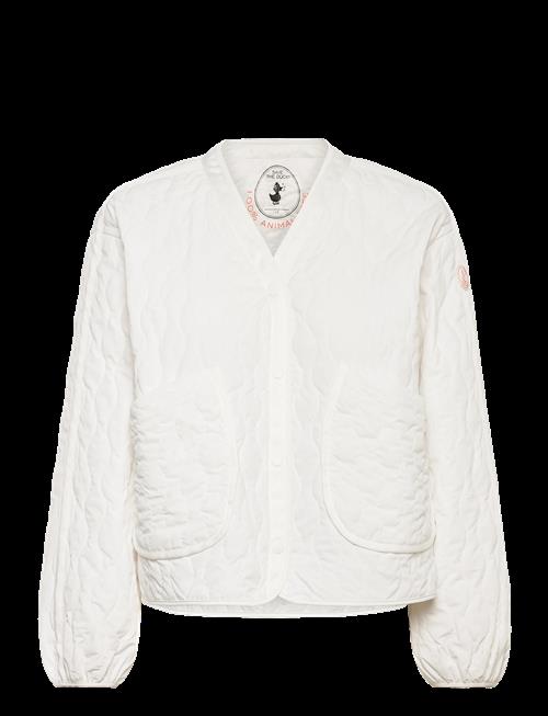 Save the Duck | Fara | M/L