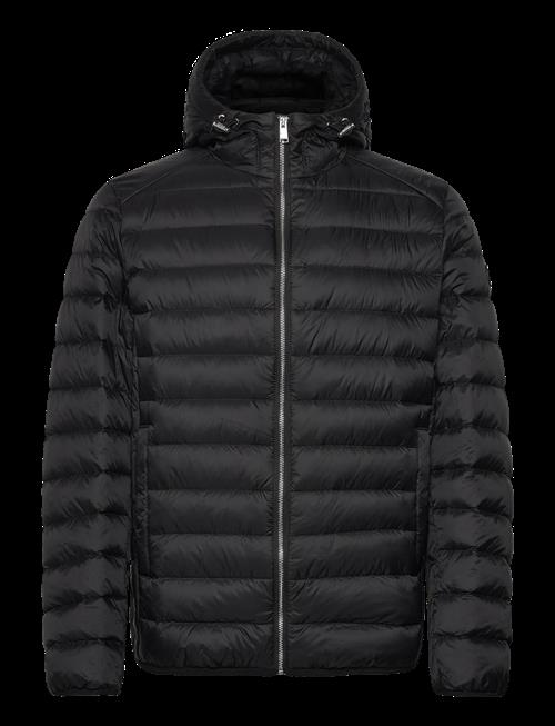 BOSS | H-Dimeo | 50