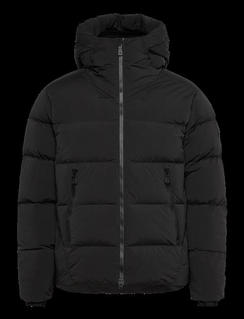 Sail Racing | Cloud Down Stretch Hood | XL