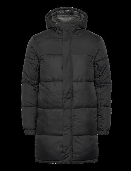 Jack & Jones | Jcounion Long Puffer Jacket Sn | L