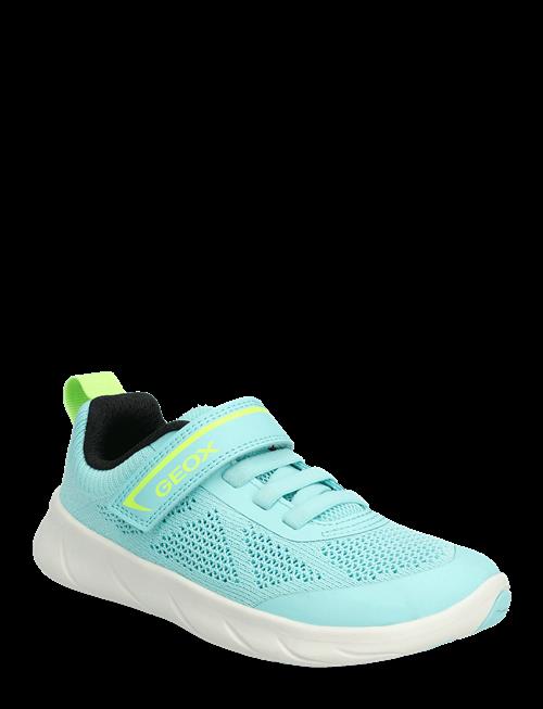 GEOX | J Foot-Run Girl A | 25