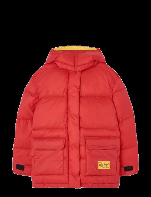 THE ANIMALS OBSERVATORY | Lemur Kid Puffer Jacket Maroon | 6 Y