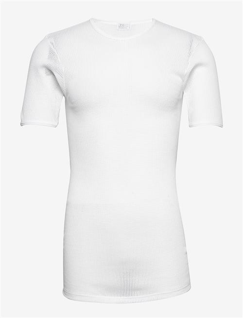 JBS | Jbs T-Shirt Mesh | L