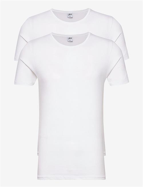 JBS | Jbs 2-Pack T-Shirt O-Neck Gots | XL