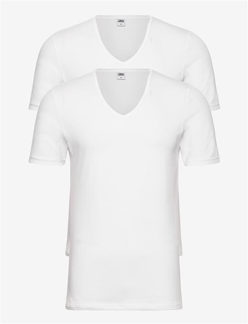 JBS | Jbs 2-Pack T-Shirt V-Neck Gots | XXL