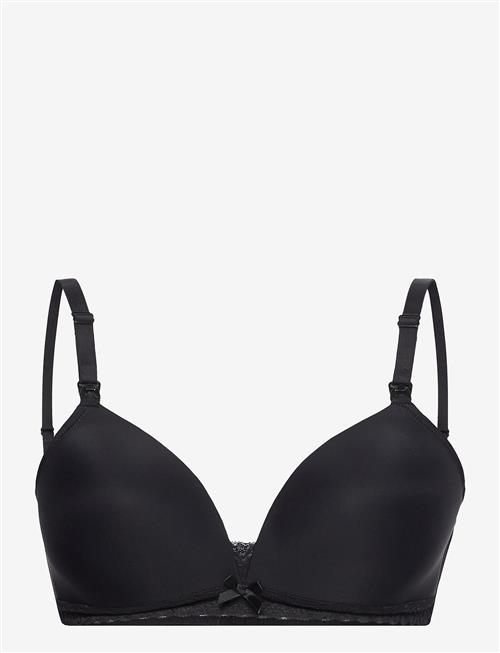 Dorina | Light Padded May Soft Nursing Bra | B x 75