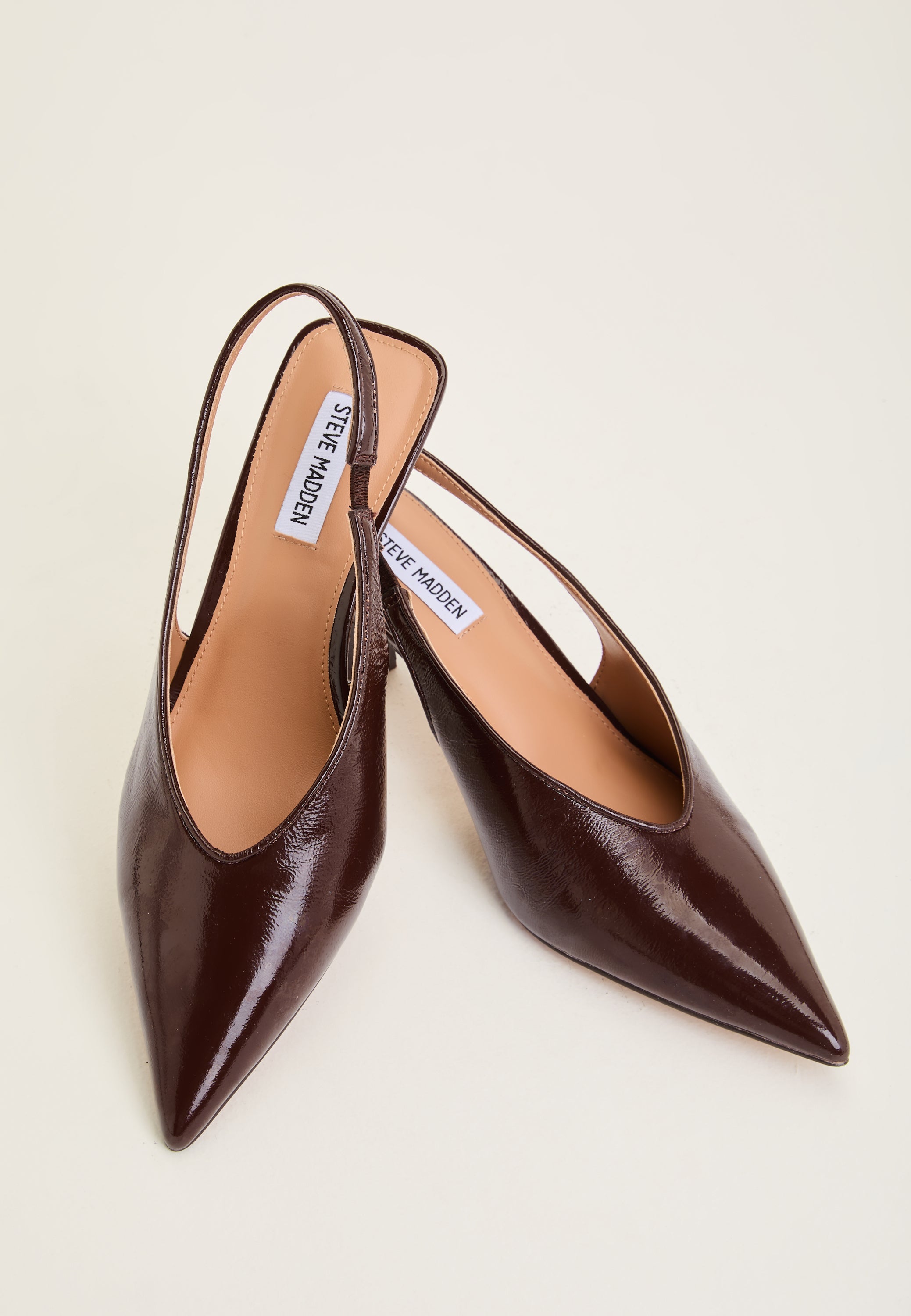STEVE MADDEN Alari Leather Slingback