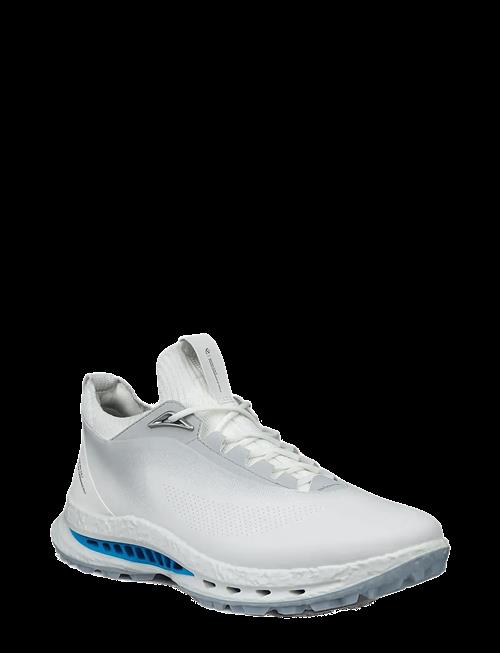 Se ECCO | M Golf Biom C5 | 42 hos Booztlet