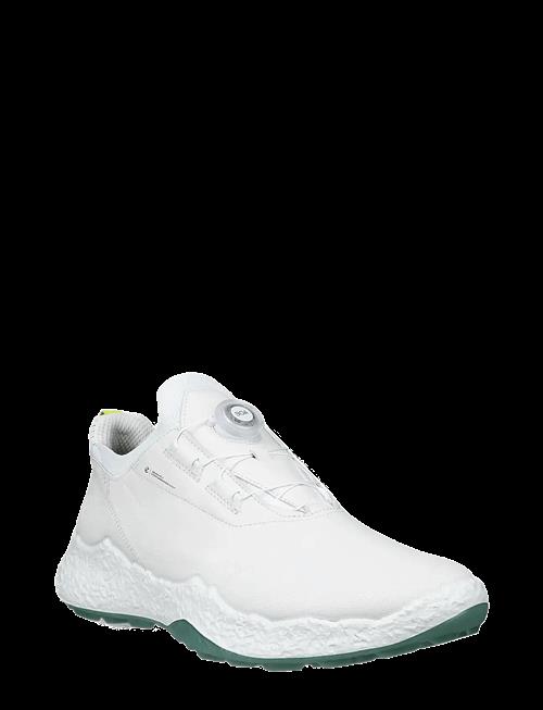 ECCO | M Golf Biom H5 | 45