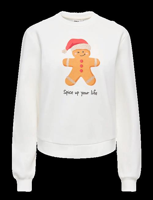 ONLY | Onlyda Xmas L/S O-Neck Box Swt | XXL