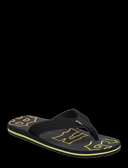 Billabong | All Day Theme | 41
