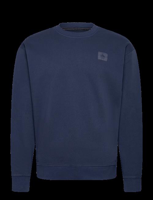 Original Penguin | G/D Loop Back Terry | S