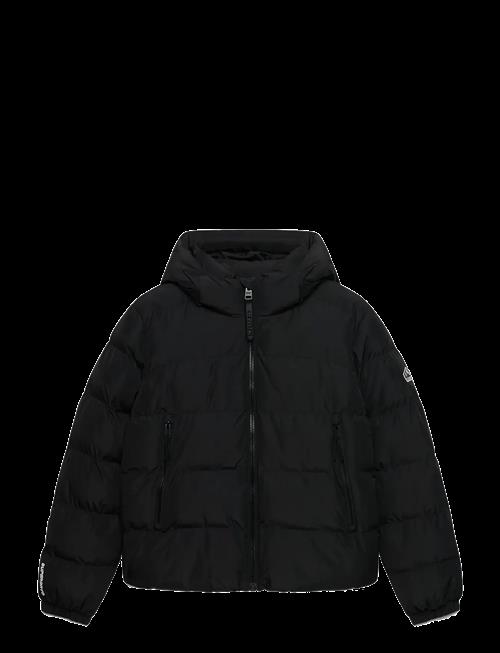 Superdry | Hooded Sports Puffer Jacket | 8